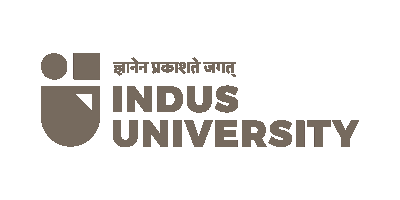 indus university